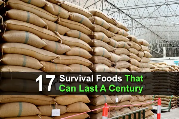 17-survival-foods-that-can-last-a-century-wide-1.jpg