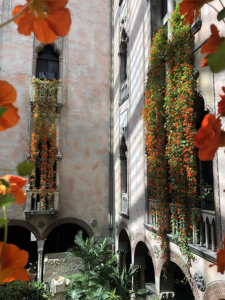 Isabel_steward_gardnermuseum-nasturtiums5.png