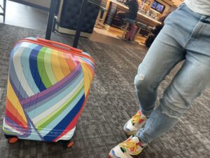 roam-pride-gay-suitcase-scaled.jpg