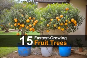 15-fastest-growing-fruit-trees-wide-1.jpg