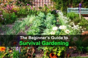 the-beginners-guide-to-survival-gardening-wide-1.jpg