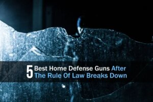 5-best-home-defense-guns-after-the-rule-of-law-breaks-down-wide-1.jpg