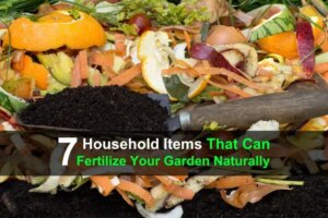 7-household-items-that-can-fertilize-your-garden-naturally-wide-1.jpg