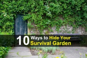 10-ways-to-hide-your-survival-garden-wide-1.jpg