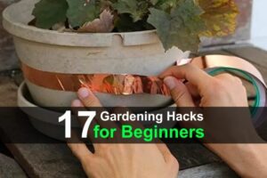 17-gardening-hacks-for-beginners-wide-1.jpg