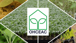 image005-1.png
