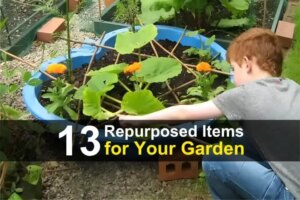 13-repurposed-items-for-your-garden-wide-1.jpg