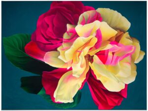 Sophie-Mess-Nebula-Rose-Canvas-2025-edited-scaled.jpg