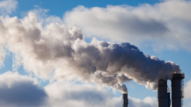 factory-emissions-20250109.jpg
