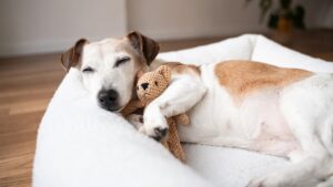 istock-2203437177.jpg
