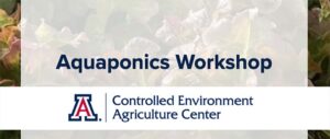 aquaponics-arizona.jpg