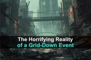 the-horrifying-reality-of-a-grid-down-event-wide-1.jpg
